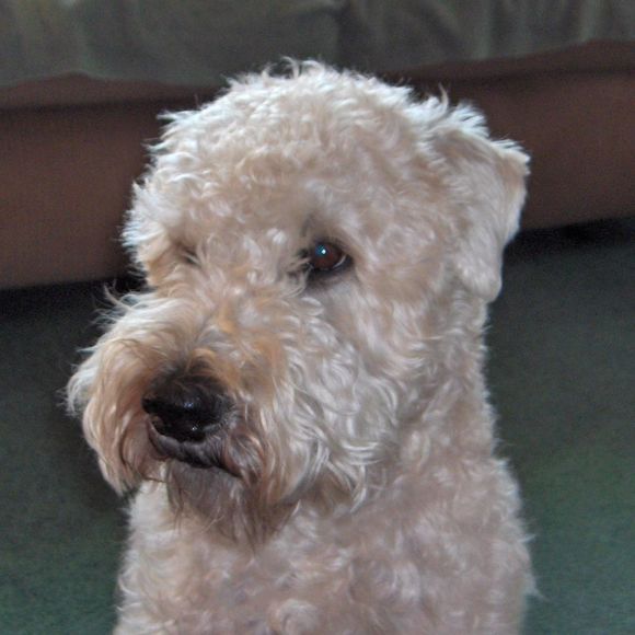 Meet your Posher, Jean - Picture 1 of 1